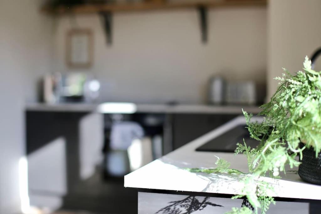 Vakantiehuis Xxbrand Newxx Sleeps 8, Stylish Japandi House Blackpool